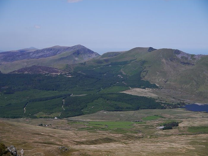 view